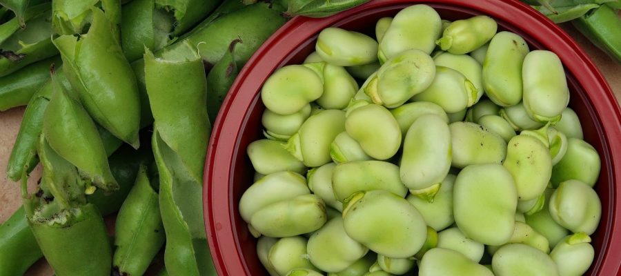 broad-beans-gde857e89e_1920